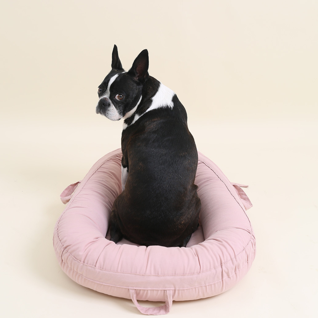 Pet Cushion