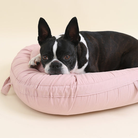Pet Cushion