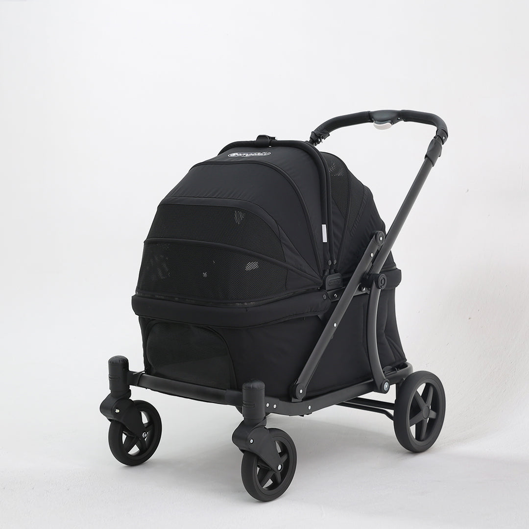 Pronto Pompolarr Pet