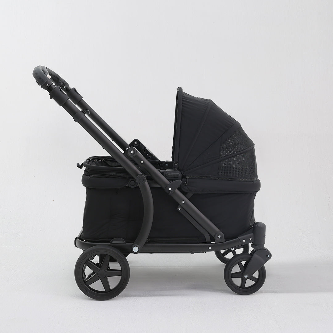 Pronto Pompolarr Pet