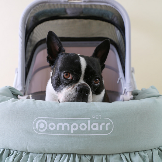 Wagon Guard