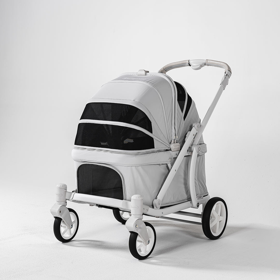Pronto Pompolarr Pet
